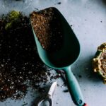 Add Sand to Garden Soil: 5 Proven Reasons You’re Doing It Wrong (and How to Fix It)