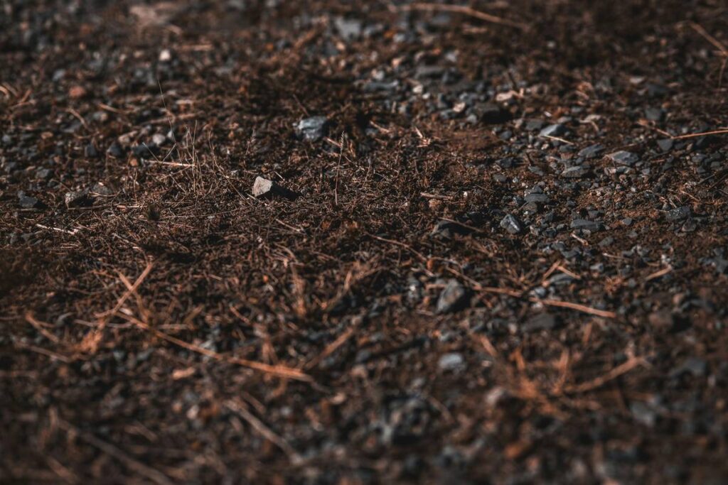 Adding Sand to Garden Soil: 5 Proven Reasons to Avoid This Common Mistake
