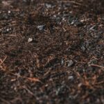Adding Sand to Garden Soil: 5 Proven Reasons to Avoid This Common Mistake