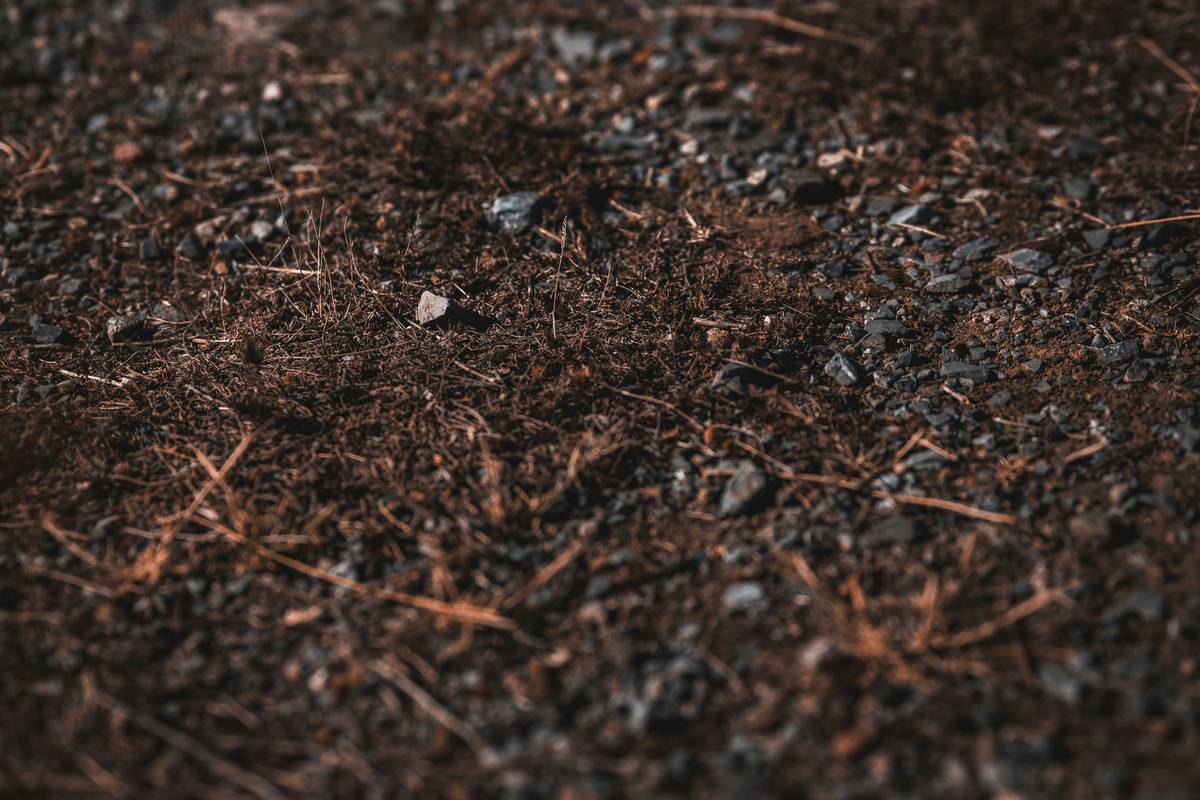 Adding Sand to Garden Soil: 5 Proven Reasons to Avoid This Common Mistake