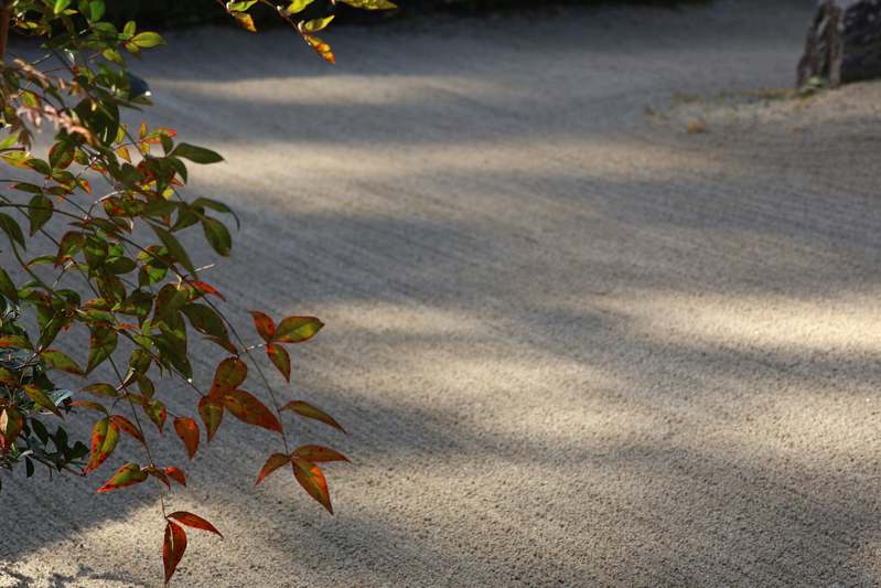 Founder kneeling in a garden bed, holding a jar of golden sand beside thriving herbs