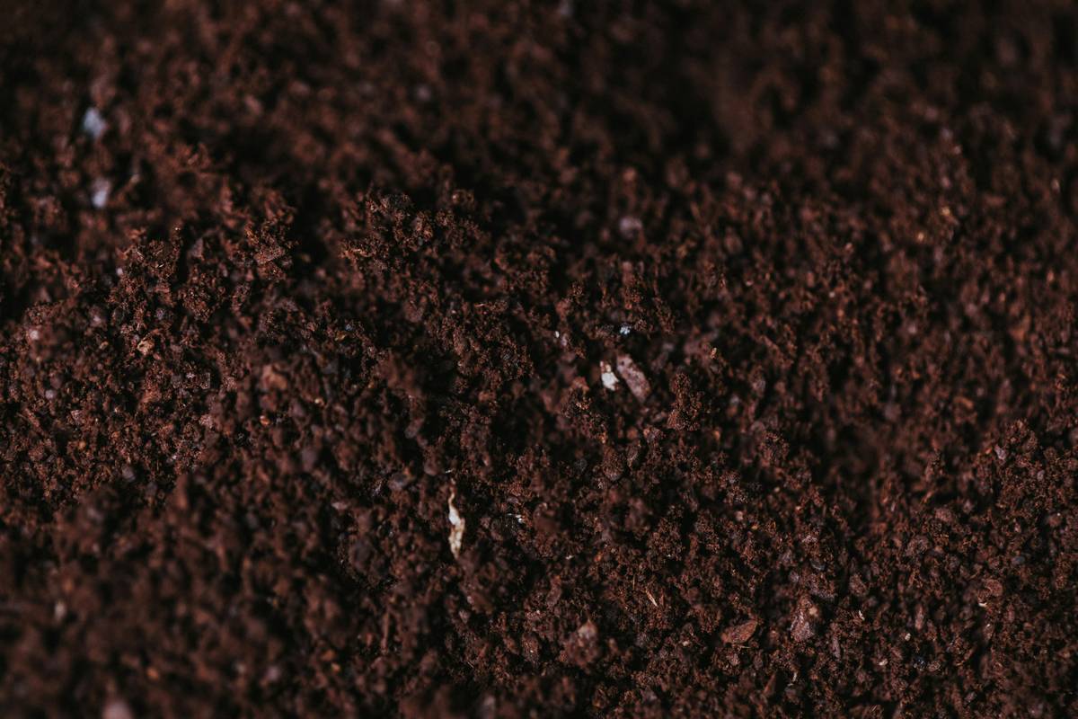 A side-by-side soil comparison showing cracked, dry clay soil next to crumbly, moist loam soil — illustrating why you must add sand to garden soil only when texture analysis supports it